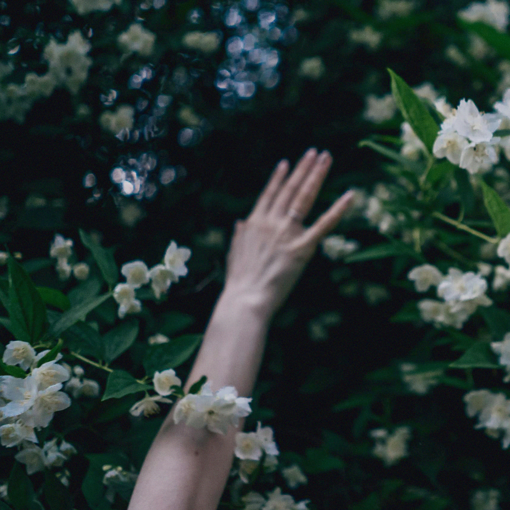 Eden Natural Perfume Oil Rollerball